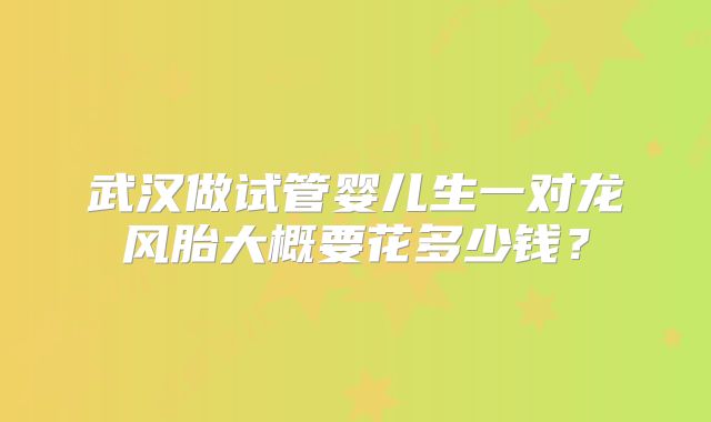 武汉做试管婴儿生一对龙风胎大概要花多少钱?