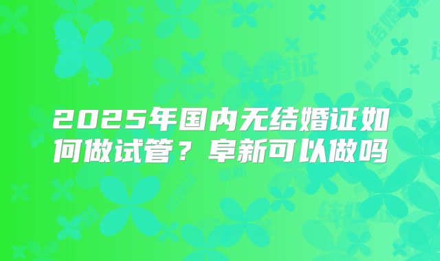 2025年国内无结婚证如何做试管？阜新可以做吗