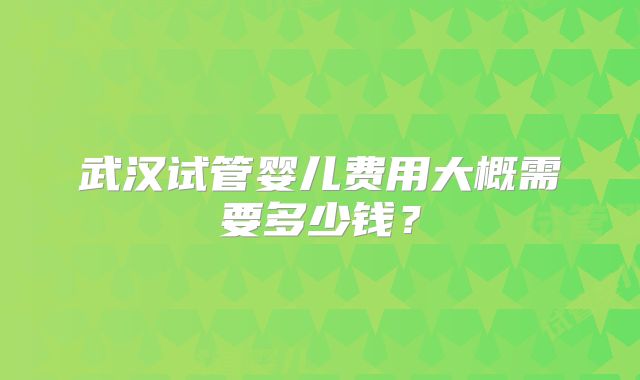 武汉试管婴儿费用大概需要多少钱？