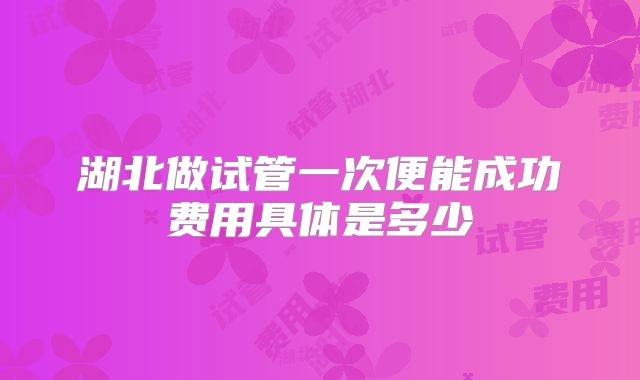 湖北做试管一次便能成功费用具体是多少