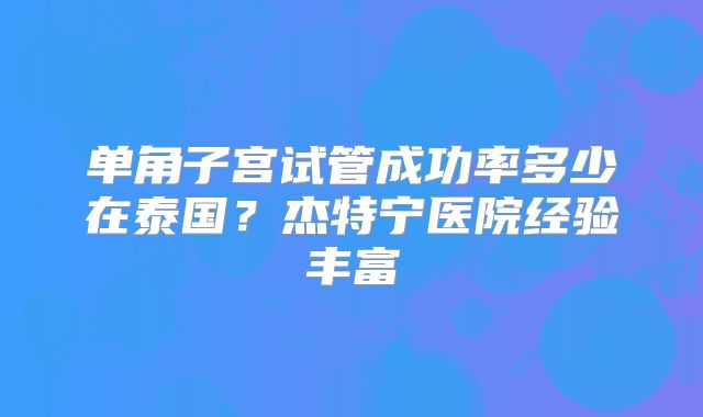 单角子宫试管成功率多少在泰国?杰特宁医院经验丰富