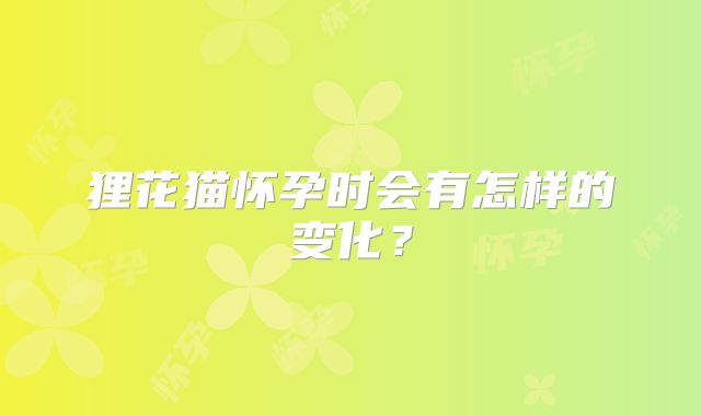 狸花猫怀孕时会有怎样的变化？
