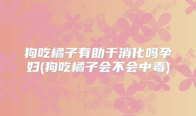 狗吃橘子有助于消化吗孕妇(狗吃橘子会不会中毒)