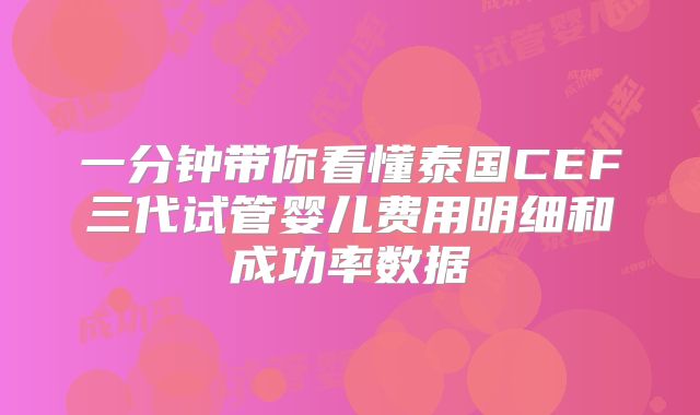 一分钟带你看懂泰国CEF三代试管婴儿费用明细和成功率数据