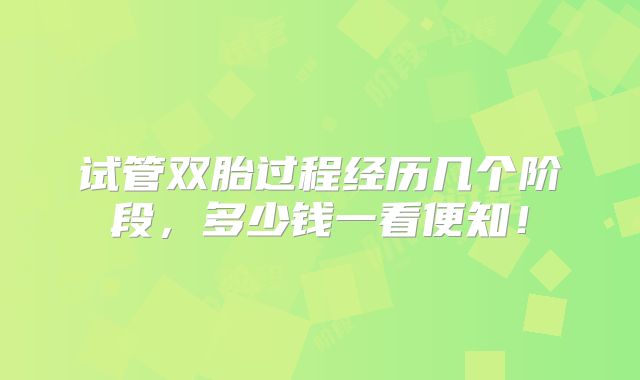 试管双胎过程经历几个阶段,多少钱一看便知!