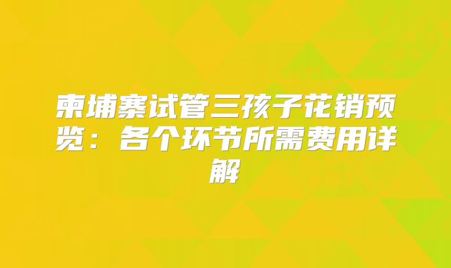 柬埔寨试管三孩子花销预览:各个环节所需费用详解