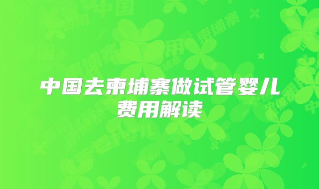 中国去柬埔寨做试管婴儿费用解读