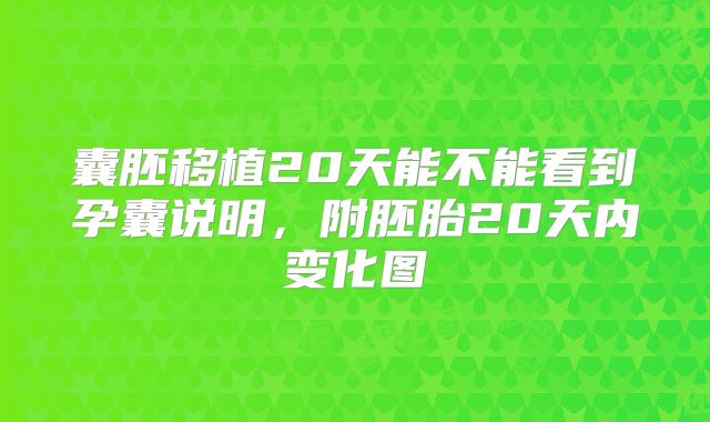 囊胚移植20天能不能看到孕囊说明，附胚胎20天内变化图