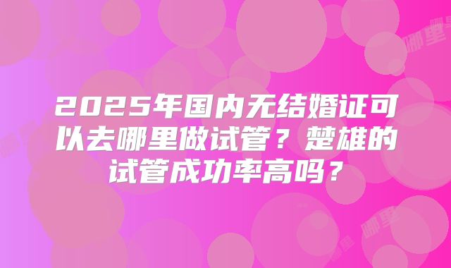 2025年国内无结婚证可以去哪里做试管？楚雄的试管成功率高吗？