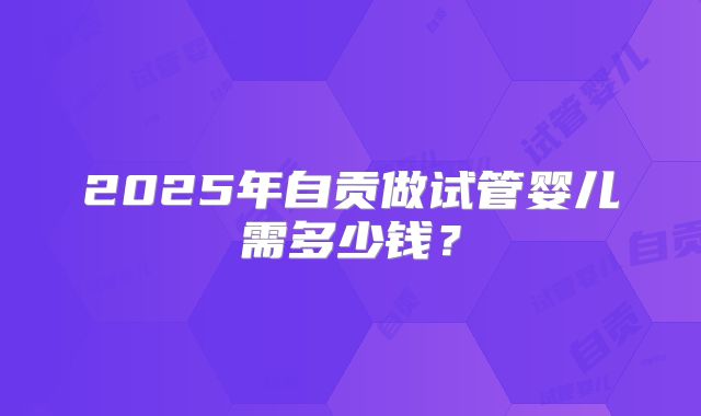 2025年自贡做试管婴儿需多少钱？