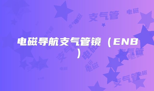 电磁导航支气管镜(ENB)