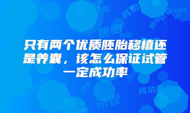 只有两个优质胚胎移植还是养囊,该怎么保证试管一定成功率