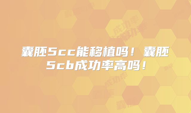 囊胚5cc能移植吗!囊胚5cb成功率高吗!