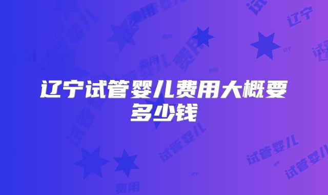 辽宁试管婴儿费用大概要多少钱