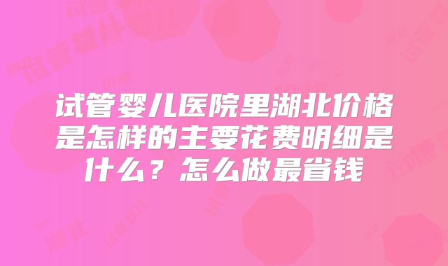 试管婴儿医院里湖北价格是怎样的主要花费明细是什么？怎么做最省钱