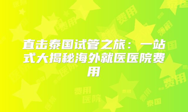 直击泰国试管之旅:一站式大揭秘海外就医医院费用