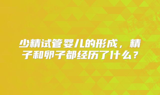 少精试管婴儿的形成，精子和卵子都经历了什么？