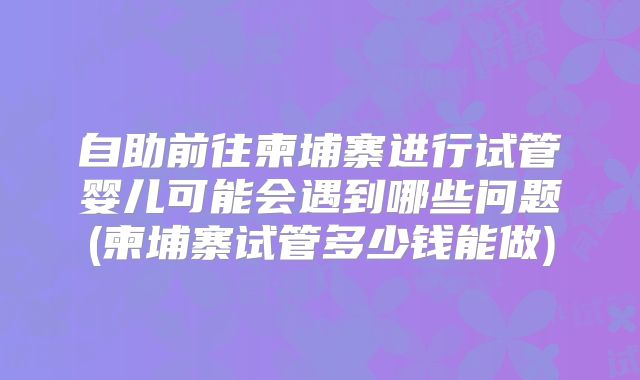 自助前往柬埔寨进行试管婴儿可能会遇到哪些问题(柬埔寨试管多少钱能做)