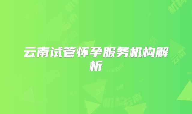 云南试管怀孕服务机构解析