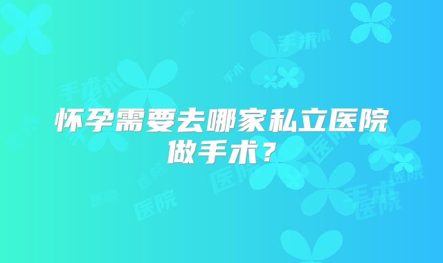 怀孕需要去哪家私立医院做手术?