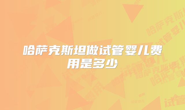 哈萨克斯坦做试管婴儿费用是多少