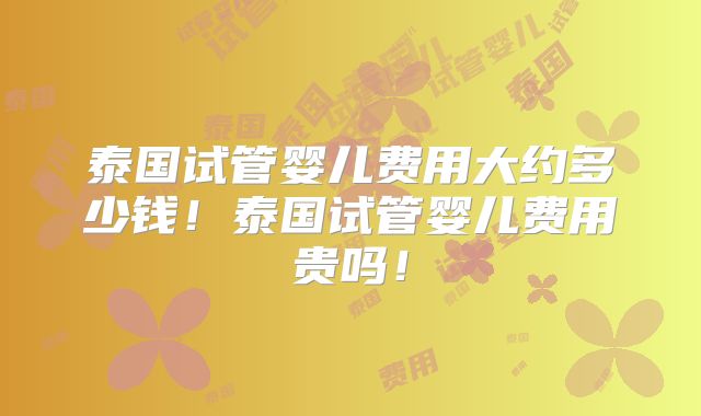 泰国试管婴儿费用大约多少钱！泰国试管婴儿费用贵吗！