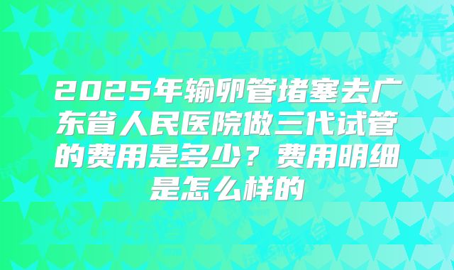 2025年输卵管堵塞去广东省人民医院做三代试管的费用是多少？费用明细是怎么样的