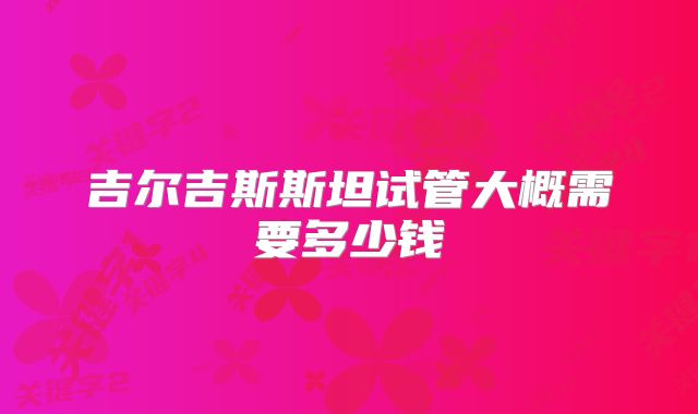 吉尔吉斯斯坦试管大概需要多少钱