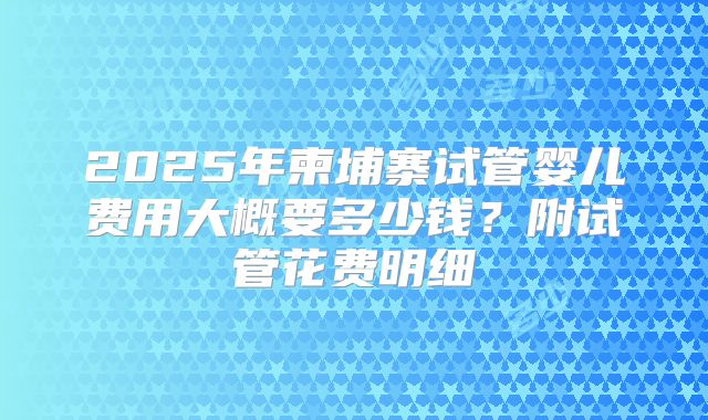2025年柬埔寨试管婴儿费用大概要多少钱?附试管花费明细
