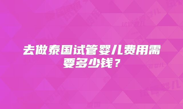 去做泰国试管婴儿费用需要多少钱？