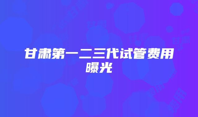 甘肃第一二三代试管费用曝光