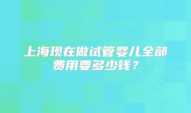 上海现在做试管婴儿全部费用要多少钱？