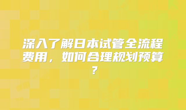 深入了解日本试管全流程费用，如何合理规划预算？