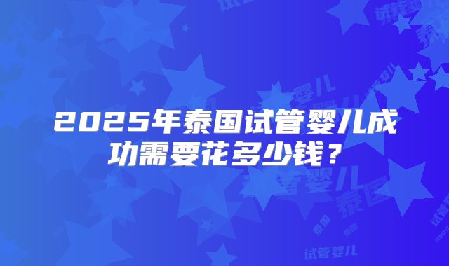 2025年泰国试管婴儿成功需要花多少钱？