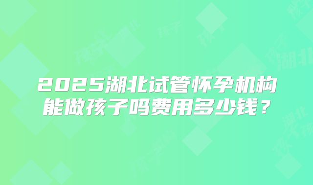 2025湖北试管怀孕机构能做孩子吗费用多少钱?