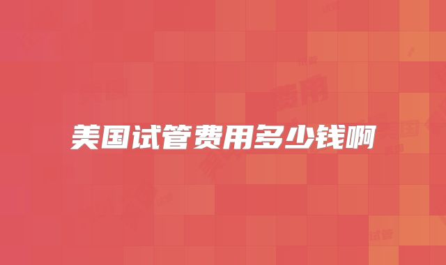 美国试管费用多少钱啊
