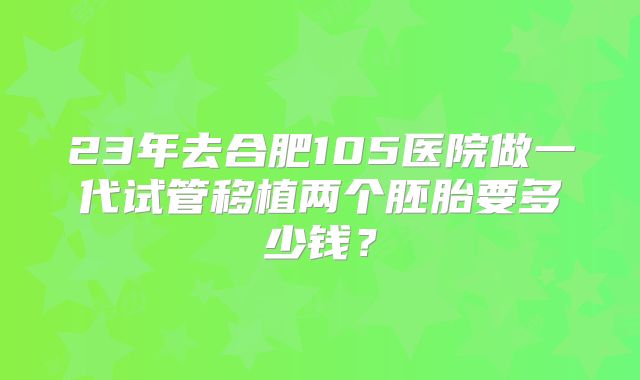 23年去合肥105医院做一代试管移植两个胚胎要多少钱？