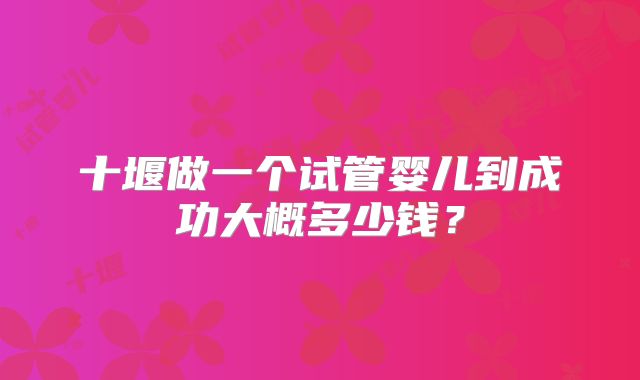 十堰做一个试管婴儿到成功大概多少钱?