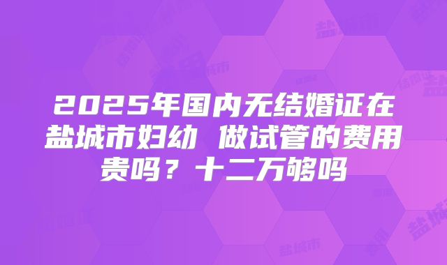 2025年国内无结婚证在盐城市妇幼 做试管的费用贵吗？十二万够吗