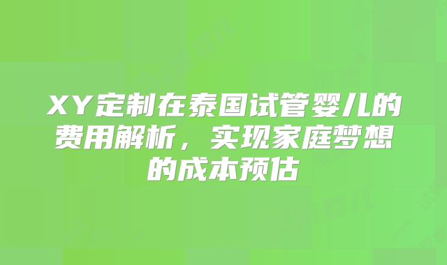 XY定制在泰国试管婴儿的费用解析,实现家庭梦想的成本预估