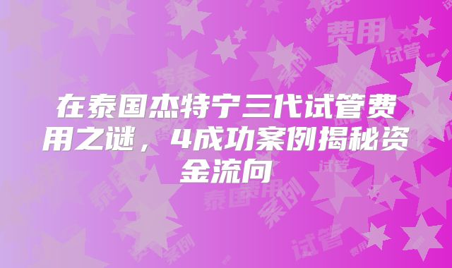 在泰国杰特宁三代试管费用之谜，4成功案例揭秘资金流向