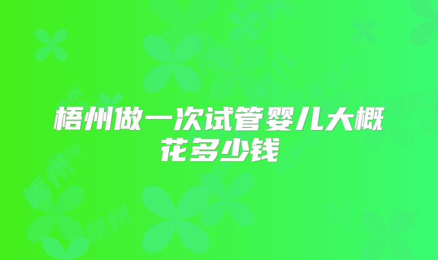 梧州做一次试管婴儿大概花多少钱