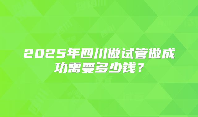 2025年四川做试管做成功需要多少钱?