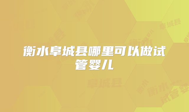 衡水阜城县哪里可以做试管婴儿