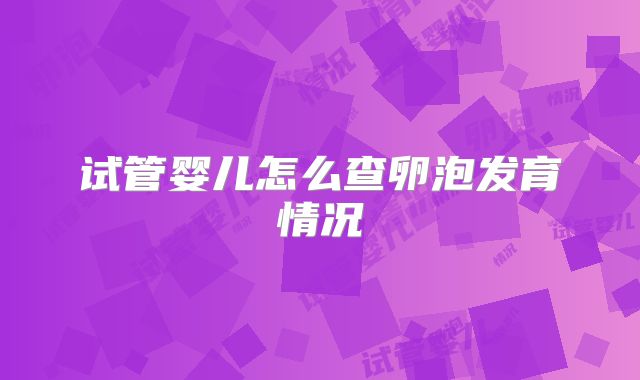 试管婴儿怎么查卵泡发育情况
