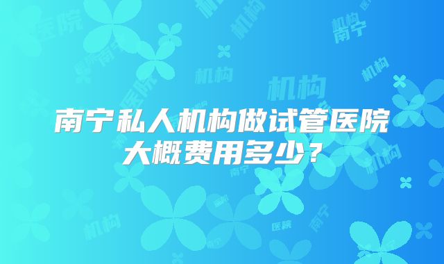 南宁私人机构做试管医院大概费用多少？
