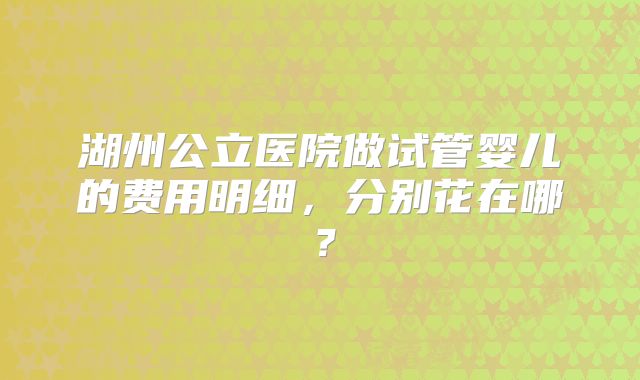 湖州公立医院做试管婴儿的费用明细，分别花在哪？