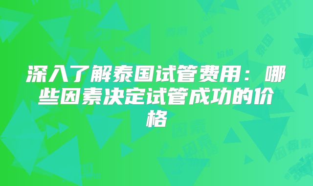 深入了解泰国试管费用：哪些因素决定试管成功的价格