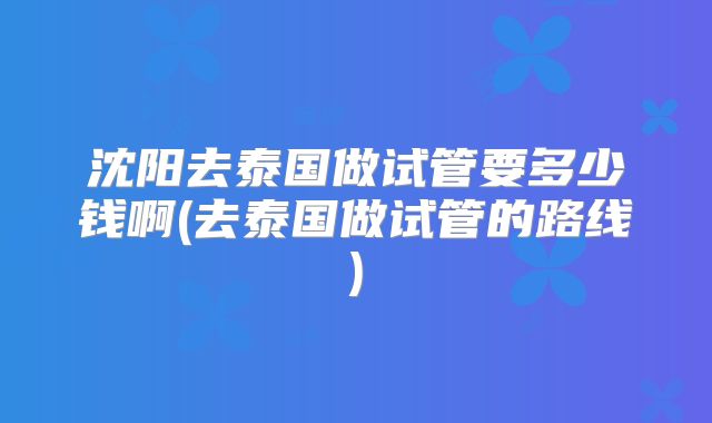沈阳去泰国做试管要多少钱啊(去泰国做试管的路线)