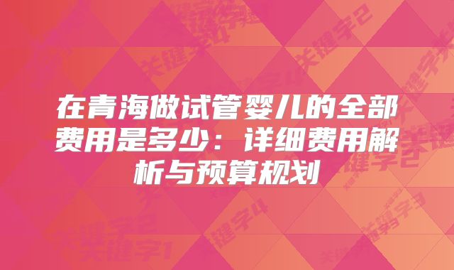 在青海做试管婴儿的全部费用是多少：详细费用解析与预算规划